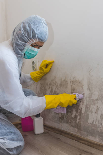 Best Forensic Mold Investigation  in Grand Ledge, MI