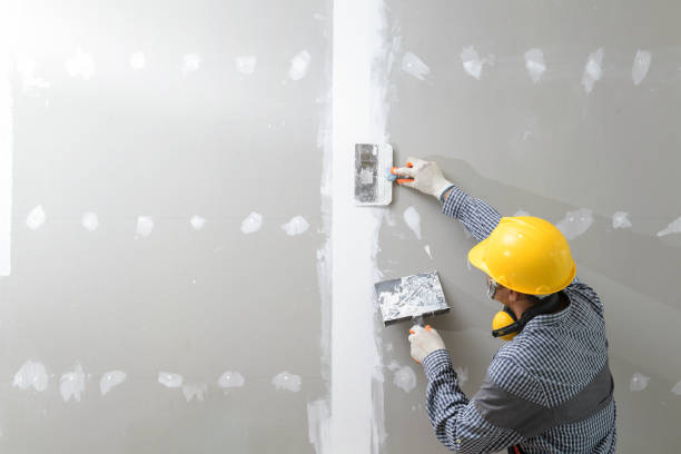 Dehumidification Services in Grand Ledge, MI