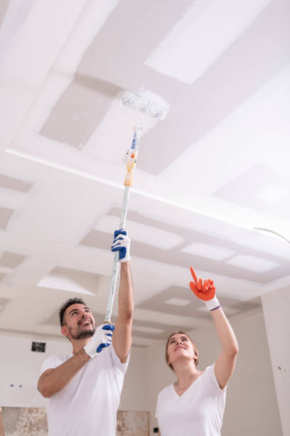 Reliable Grand Ledge, MI Mold Removal Solutions