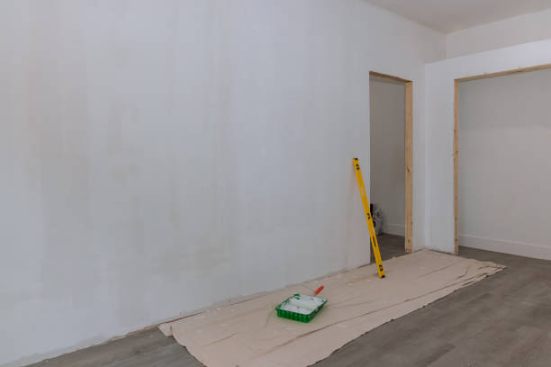 Best Emergency Mold Remediation  in Grand Ledge, MI
