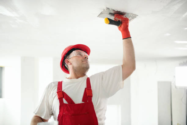 Best Emergency Mold Remediation  in Grand Ledge, MI