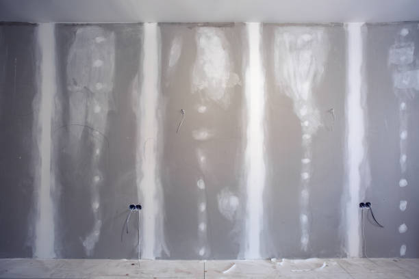 Best Biohazard Mold Removal  in Grand Ledge, MI